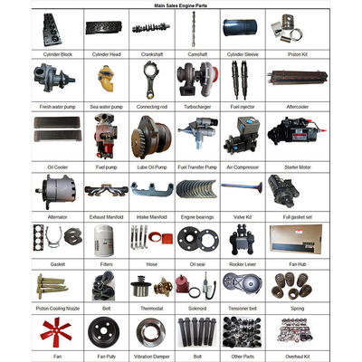 4BTA 3.9 4B 4BT Crankshaft với các bộ phận động cơ bánh răng cho động cơ khoan dầu diesel 3908031 3863276